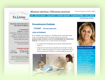Foto de interfaz del sitio Ex Ablate México